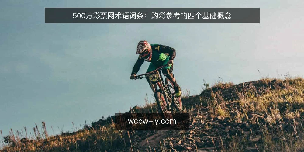 500万彩票网术语词条:购彩参考的四个基础概念 — 为何现在审计购彩参考术语 配图