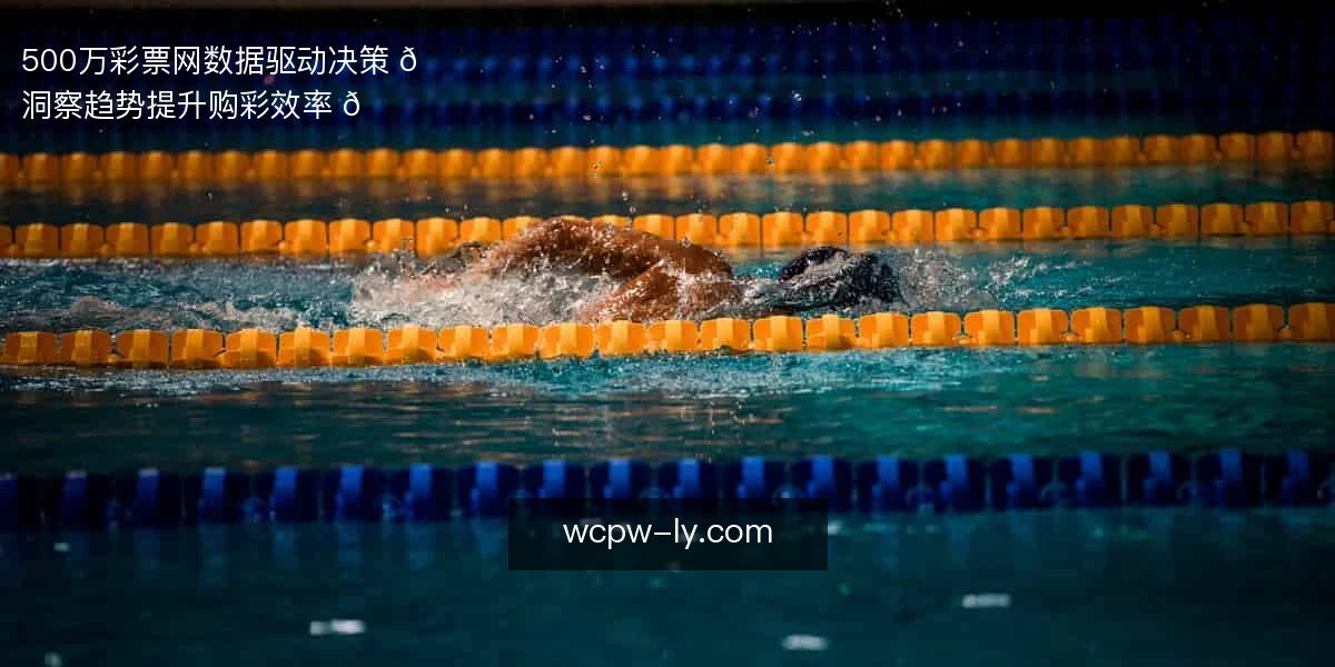 500万彩票网，数据驱动决策 📊
